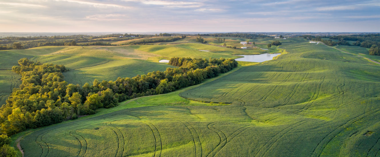 Wide shot of a landscape with rolling green hills.