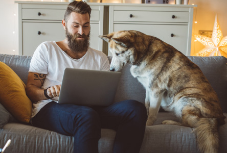 A bearded man and large dog sitting on a cough, both are looking at a laptop.